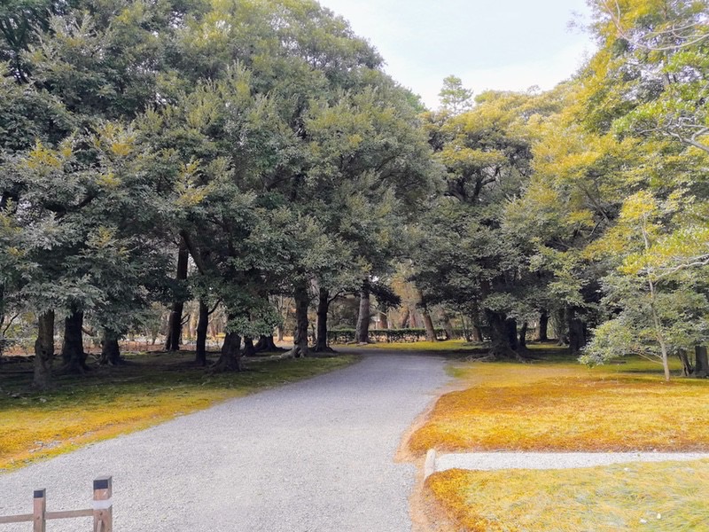 仙洞御所跡.jpg 仙洞御所跡