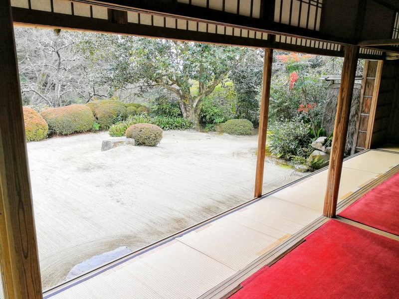 09部屋から庭.jpg 09部屋から庭