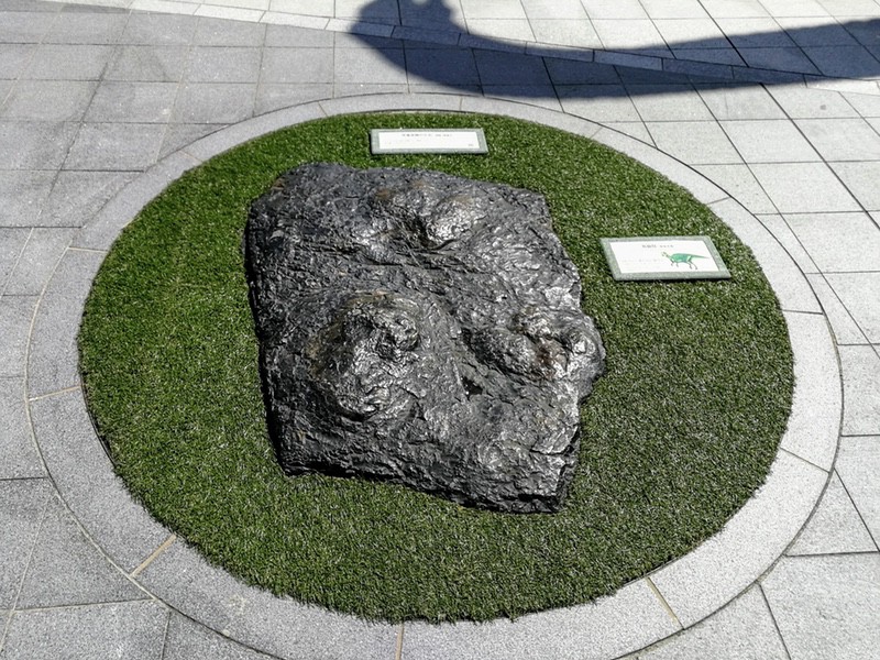 19足跡の化石.jpg 19足跡の化石