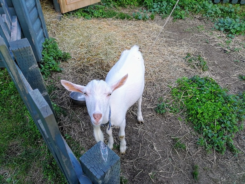 41ゆきちゃん.jpg 41ゆきちゃん