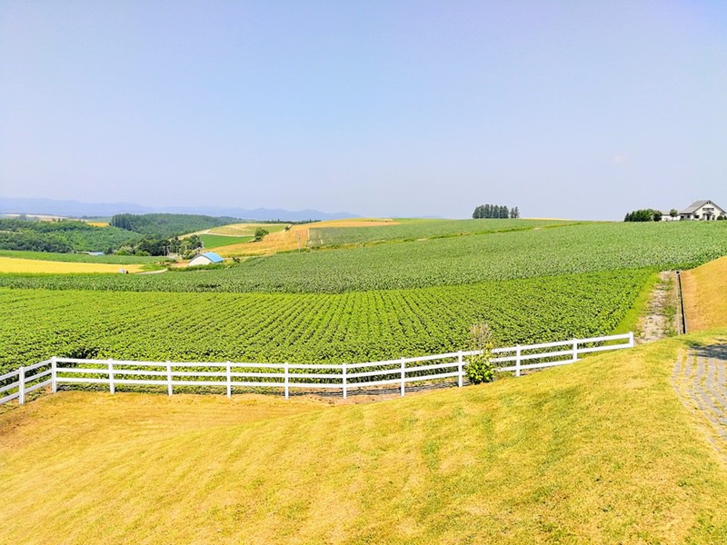 10新栄の丘.jpg 10新栄の丘