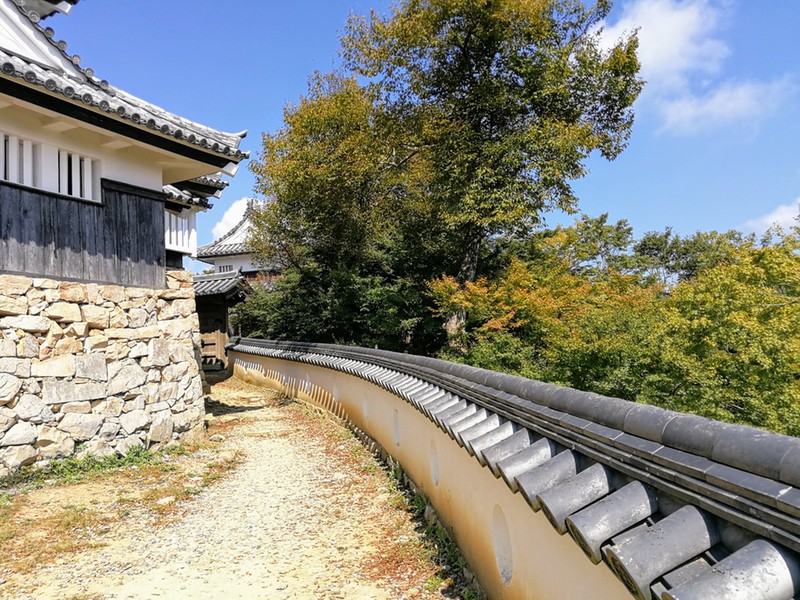 48天守裏手.jpg 48天守裏手