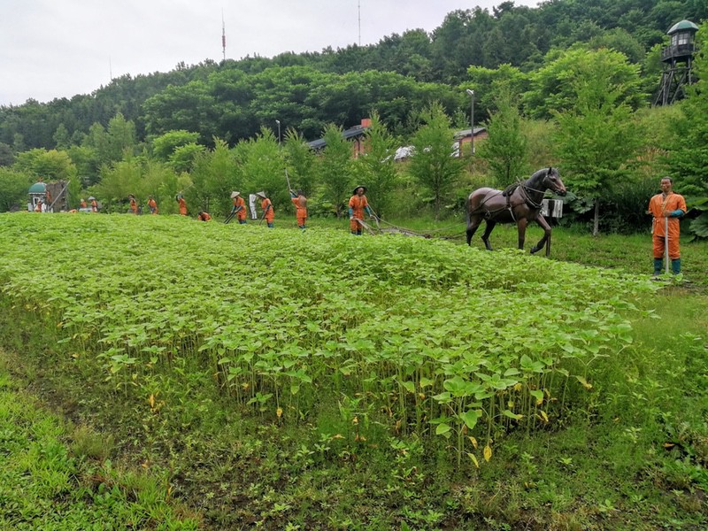 56二見ケ岡農場.jpg 56二見ケ岡農場