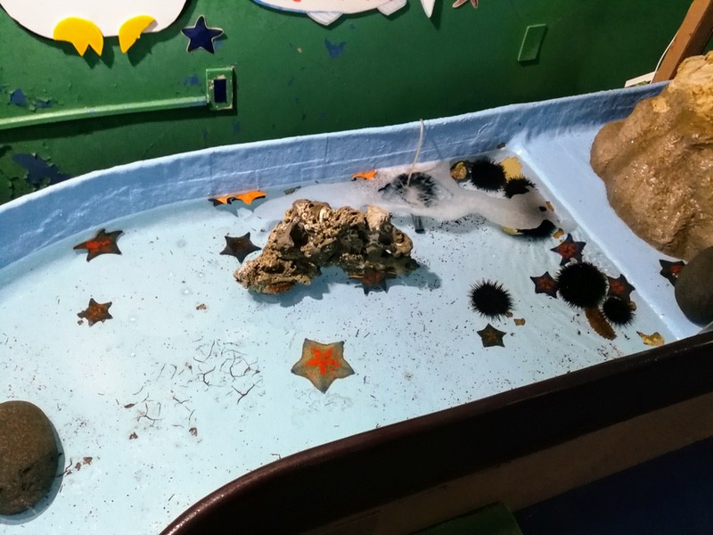 09ふれあいコーナー