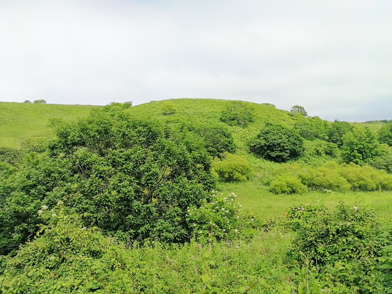 16野鳥観察舎.jpg 16野鳥観察舎