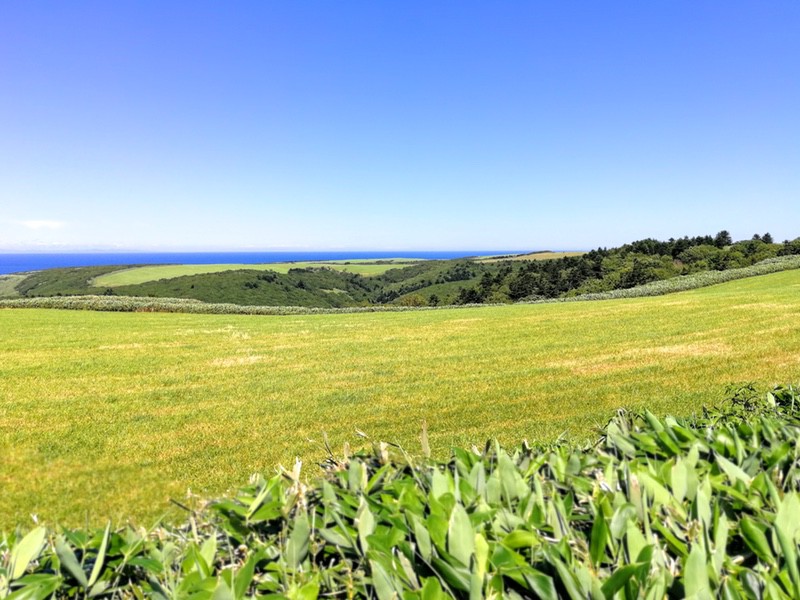 03宗谷丘陵 樺太