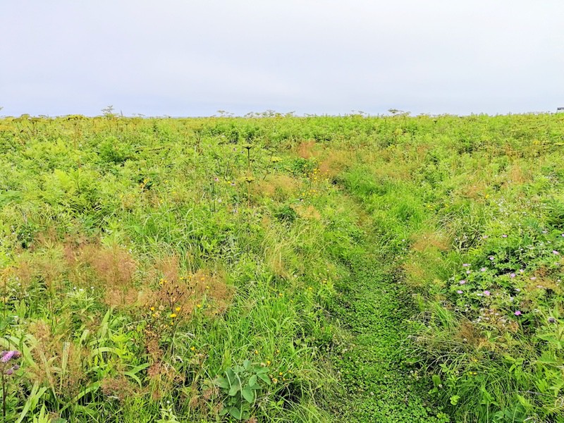 04草原.jpg 04草原