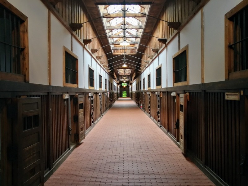 71五翼放射状平屋舎房第二舎