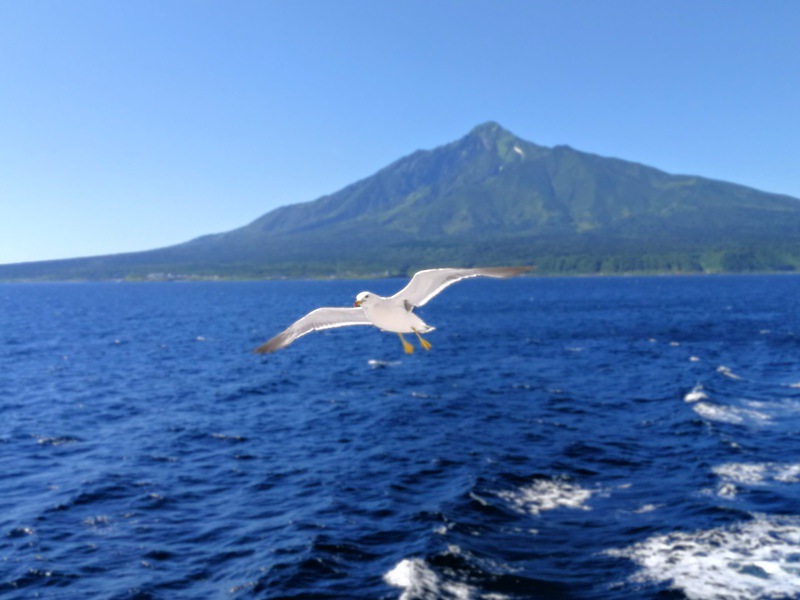 船上から利尻富士03.jpg 船上から利尻富士03