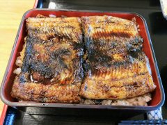 羅臼でしか食べれない！らうす峠茶屋でハモ丼｜北海道羅臼町