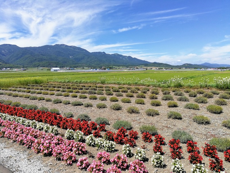 07富良野の風景