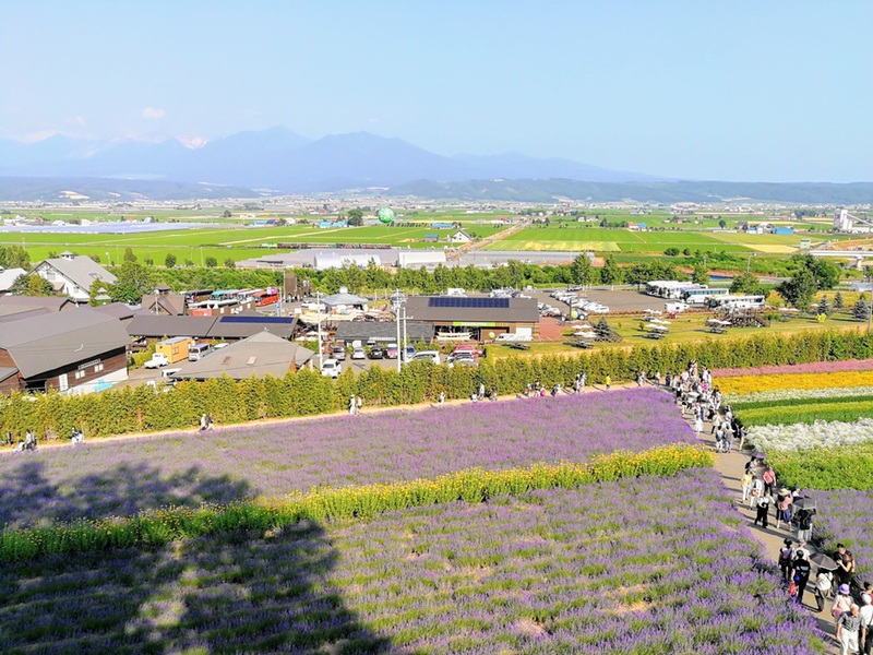 11展望台から.jpg 11展望台から
