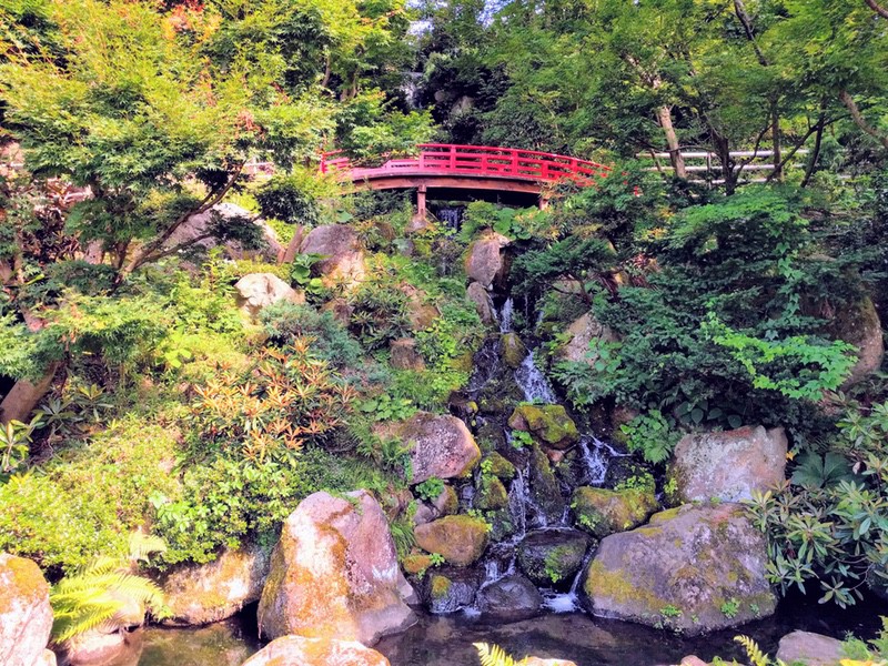 15低地部庭園 池泉回遊式