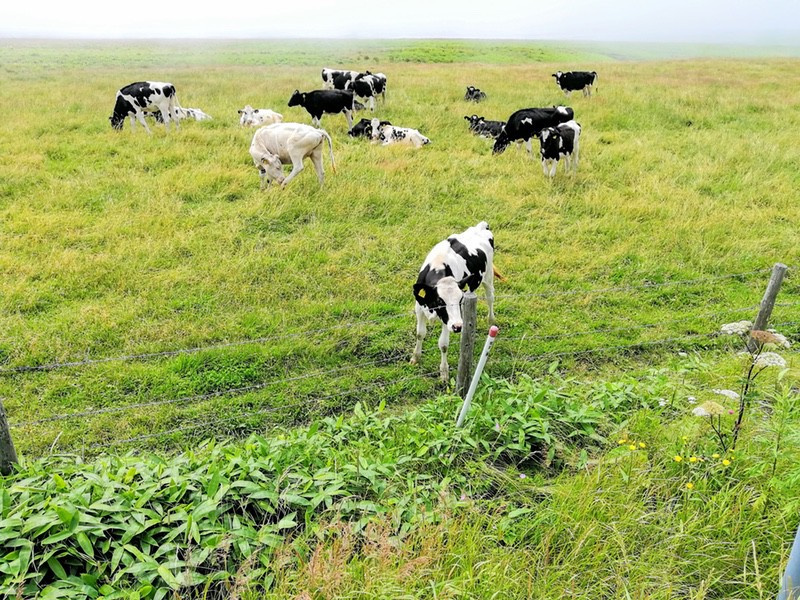 05納沙布岬まで.jpg 05納沙布岬まで