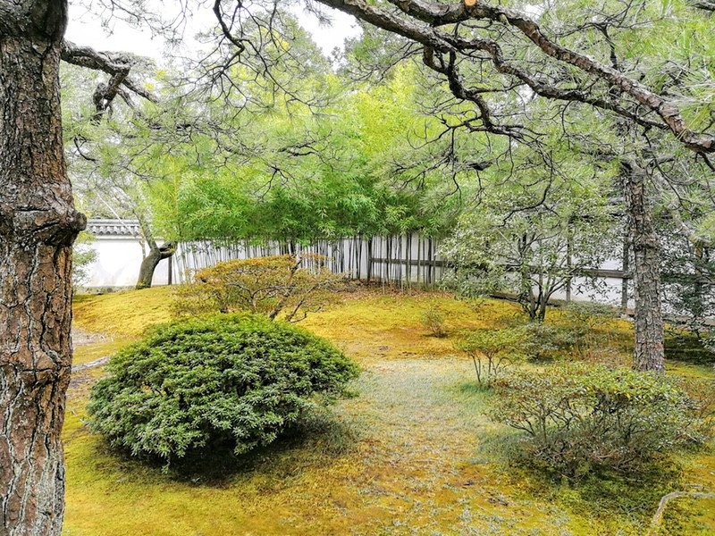 11南庭(松竹梅の庭).jpg 11南庭 松竹梅の庭