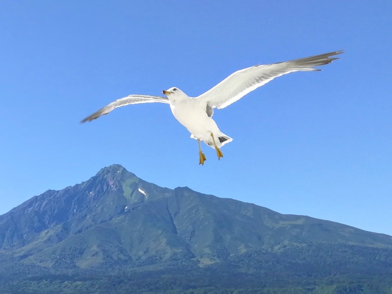 船上から利尻富士04.jpg 船上から利尻富士04