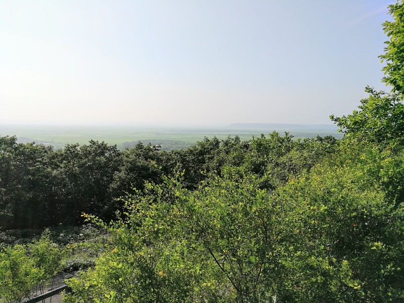 06展望広場.jpg 06展望広場