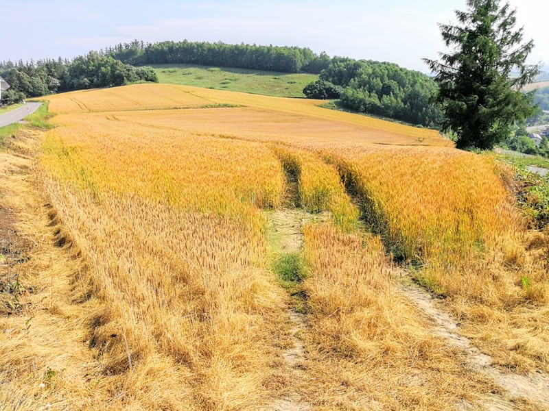 09三愛の丘.jpg 09三愛の丘