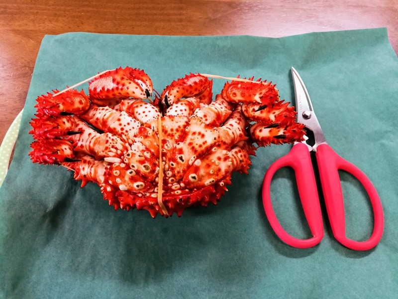 03花咲がに.jpg 03花咲がに