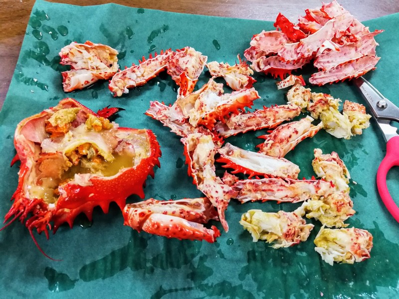 07花咲がに.jpg 07花咲がに