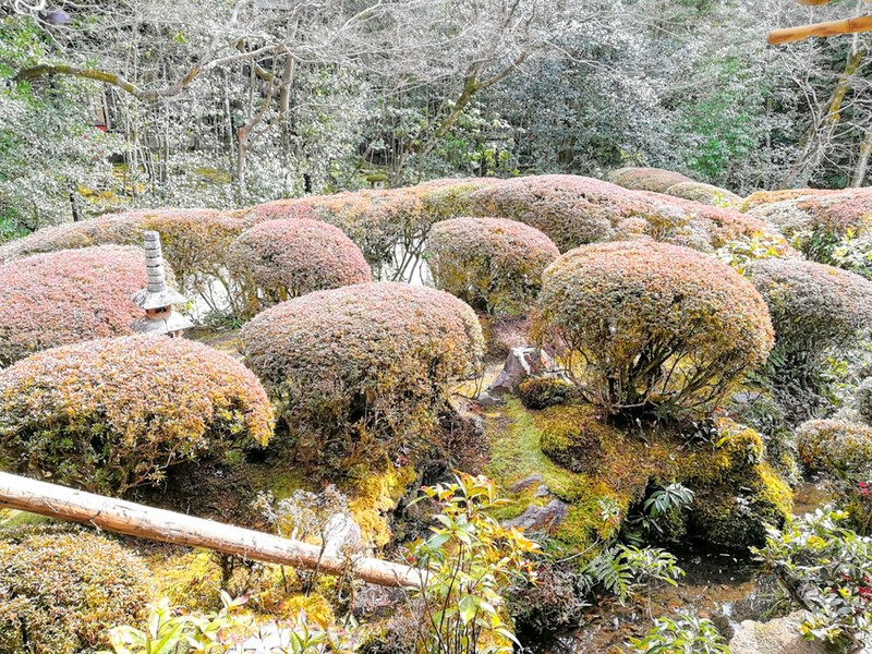 07部屋から庭.jpg 07部屋から庭