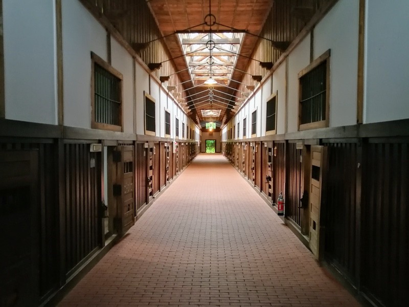 73五翼放射状平屋舎房第三舎