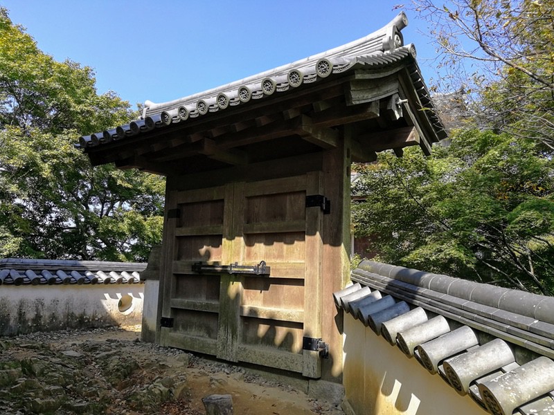 49門.jpg 49門