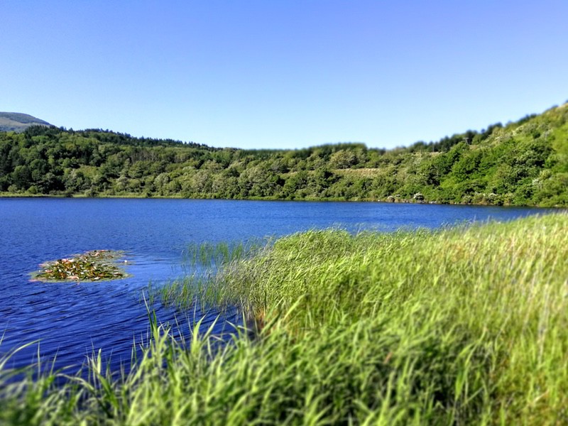 03オタトマリ沼