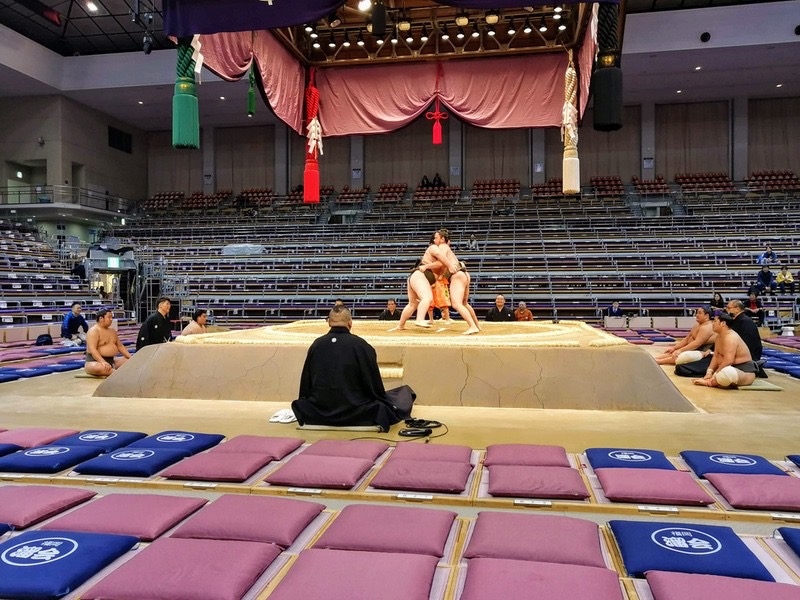 取組開始05服部桜 矢田