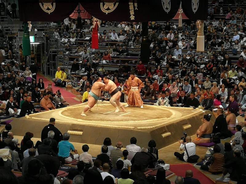 十両 琴勇輝 安美錦